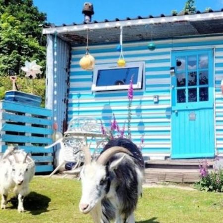 Treguth Glamping Unique Experience - Themed Huts Hotel Saint Day Buitenkant foto