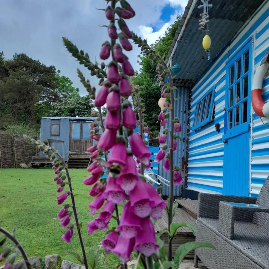 Treguth Glamping Unique Experience - Themed Huts Hotel Saint Day Buitenkant foto