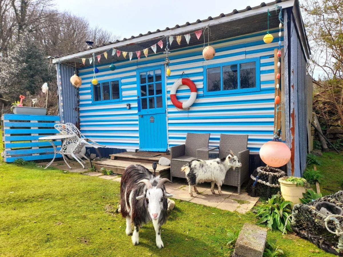 Treguth Glamping Unique Experience - Themed Huts Hotel Saint Day Buitenkant foto