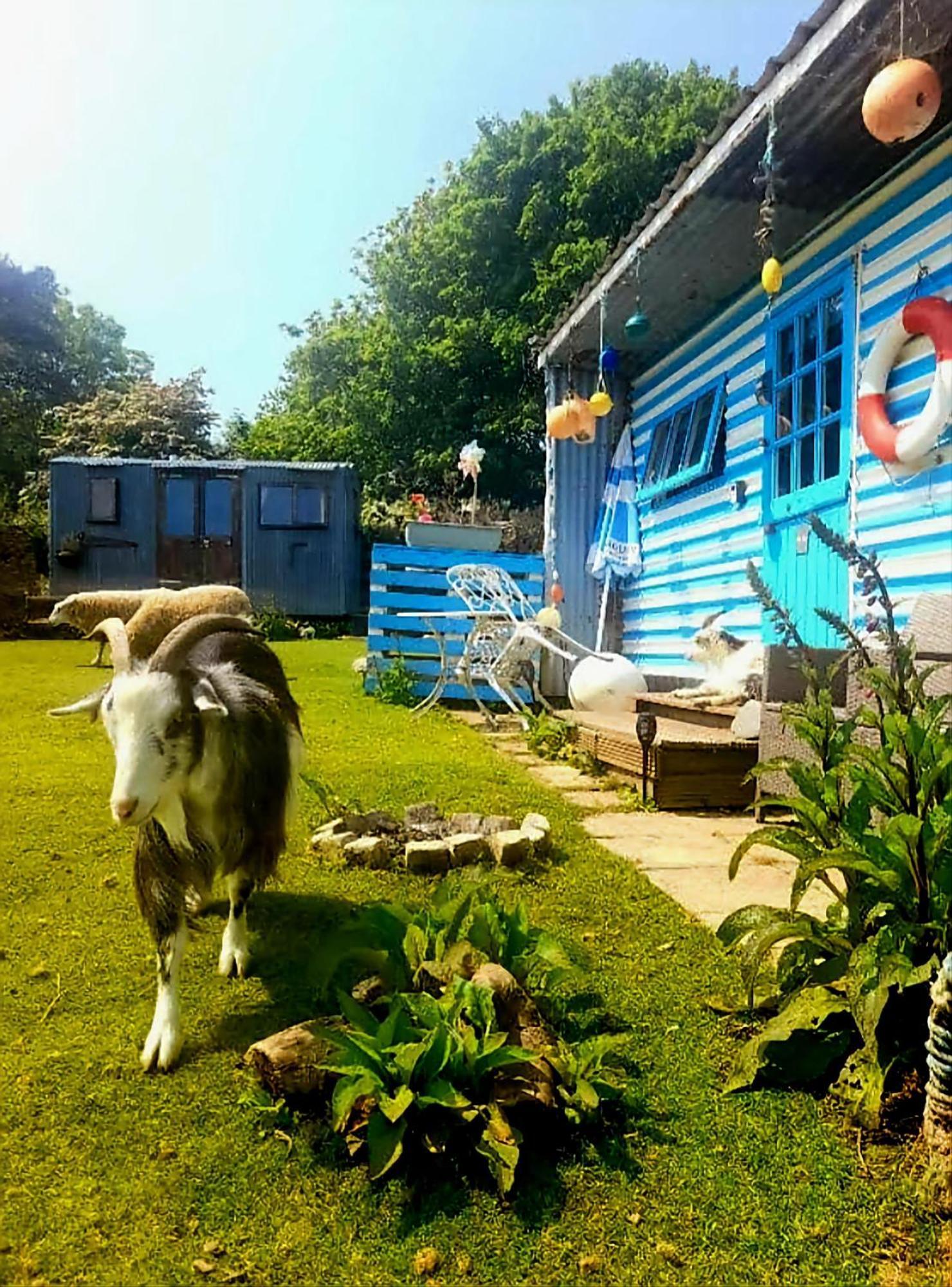 Treguth Glamping Unique Experience - Themed Huts Hotel Saint Day Buitenkant foto