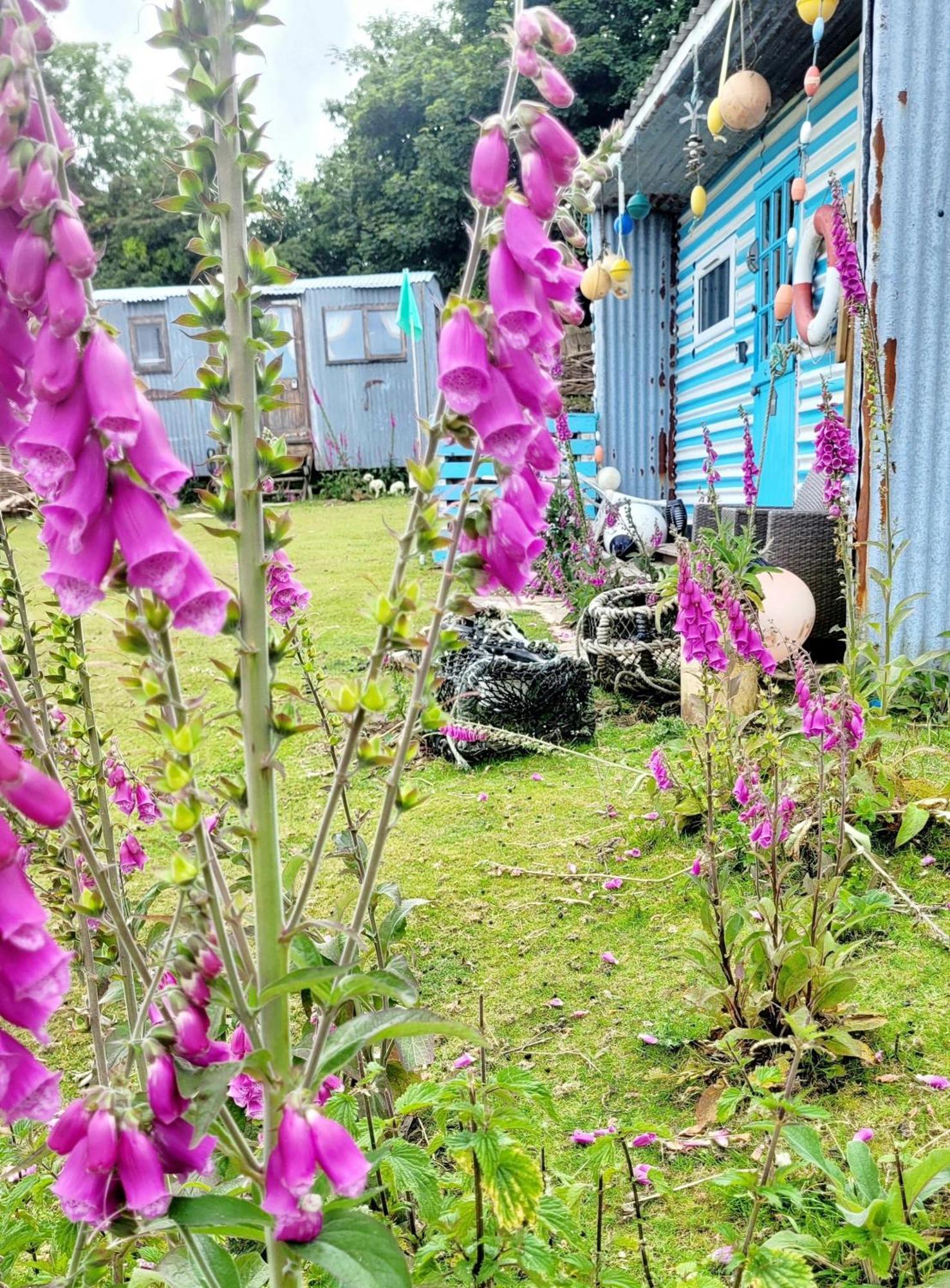Treguth Glamping Unique Experience - Themed Huts Hotel Saint Day Buitenkant foto