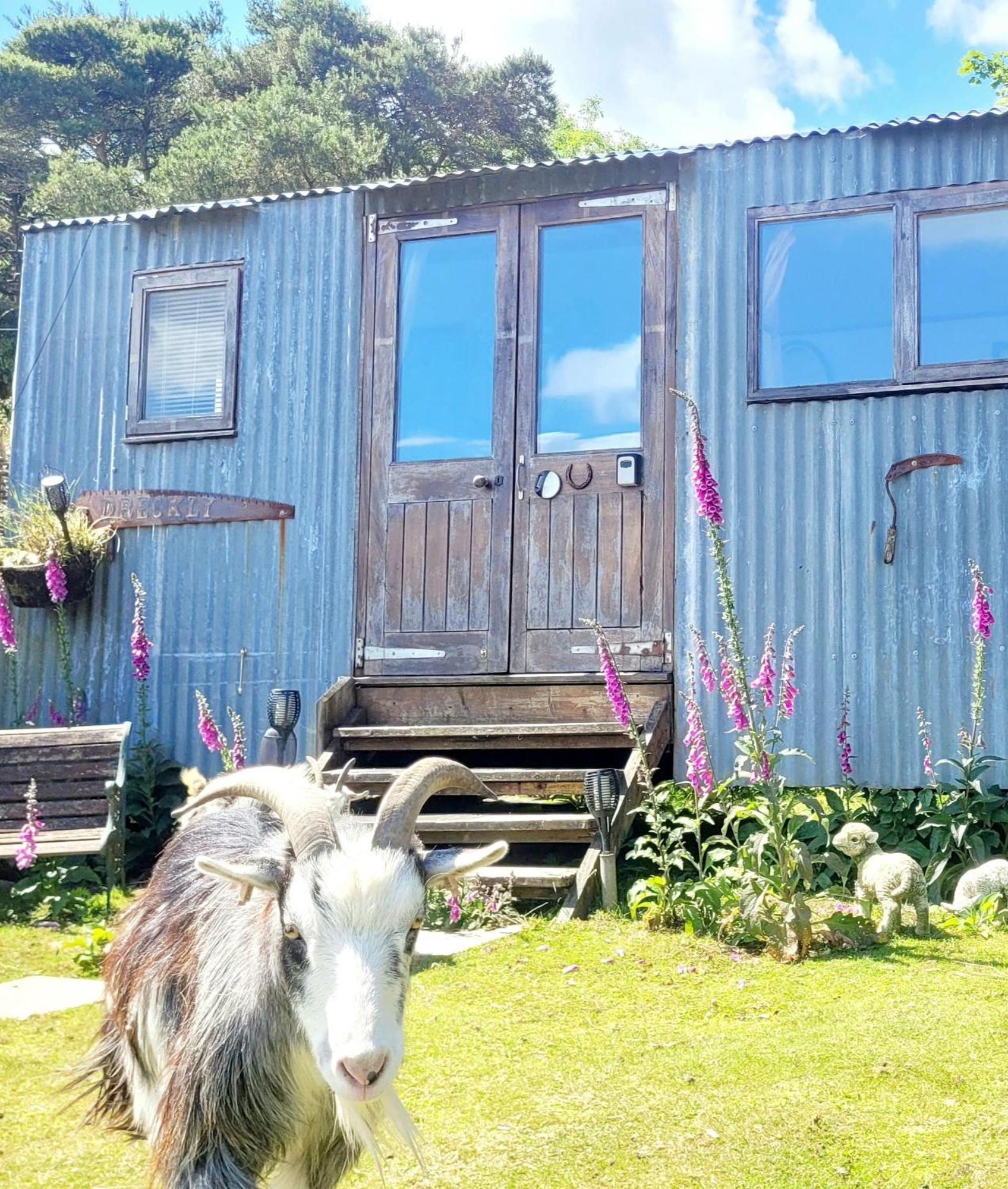 Treguth Glamping Unique Experience - Themed Huts Hotel Saint Day Buitenkant foto
