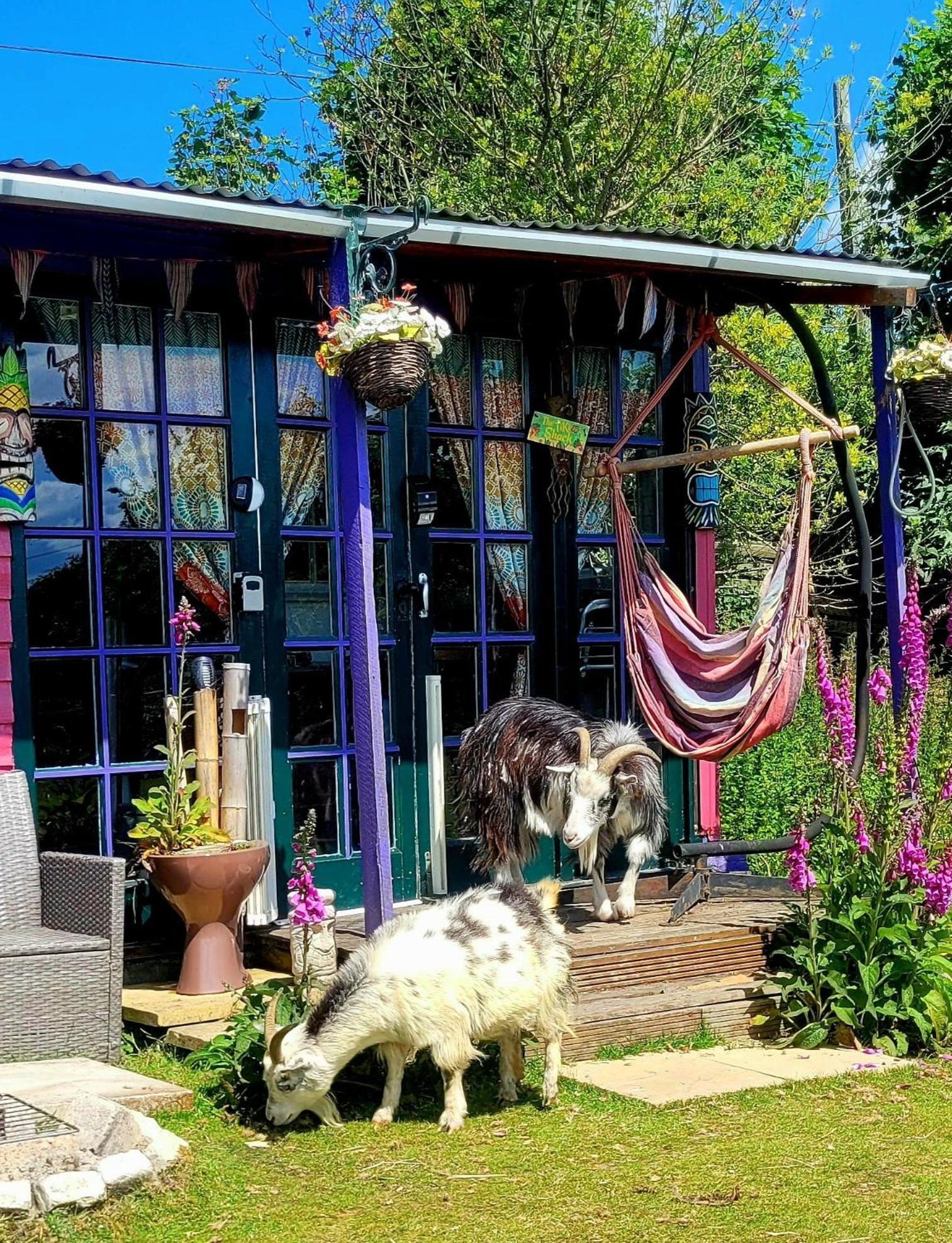 Treguth Glamping Unique Experience - Themed Huts Hotel Saint Day Buitenkant foto