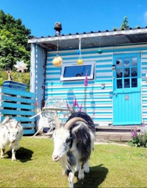 Treguth Glamping Unique Experience - Themed Huts Hotel Saint Day Buitenkant foto